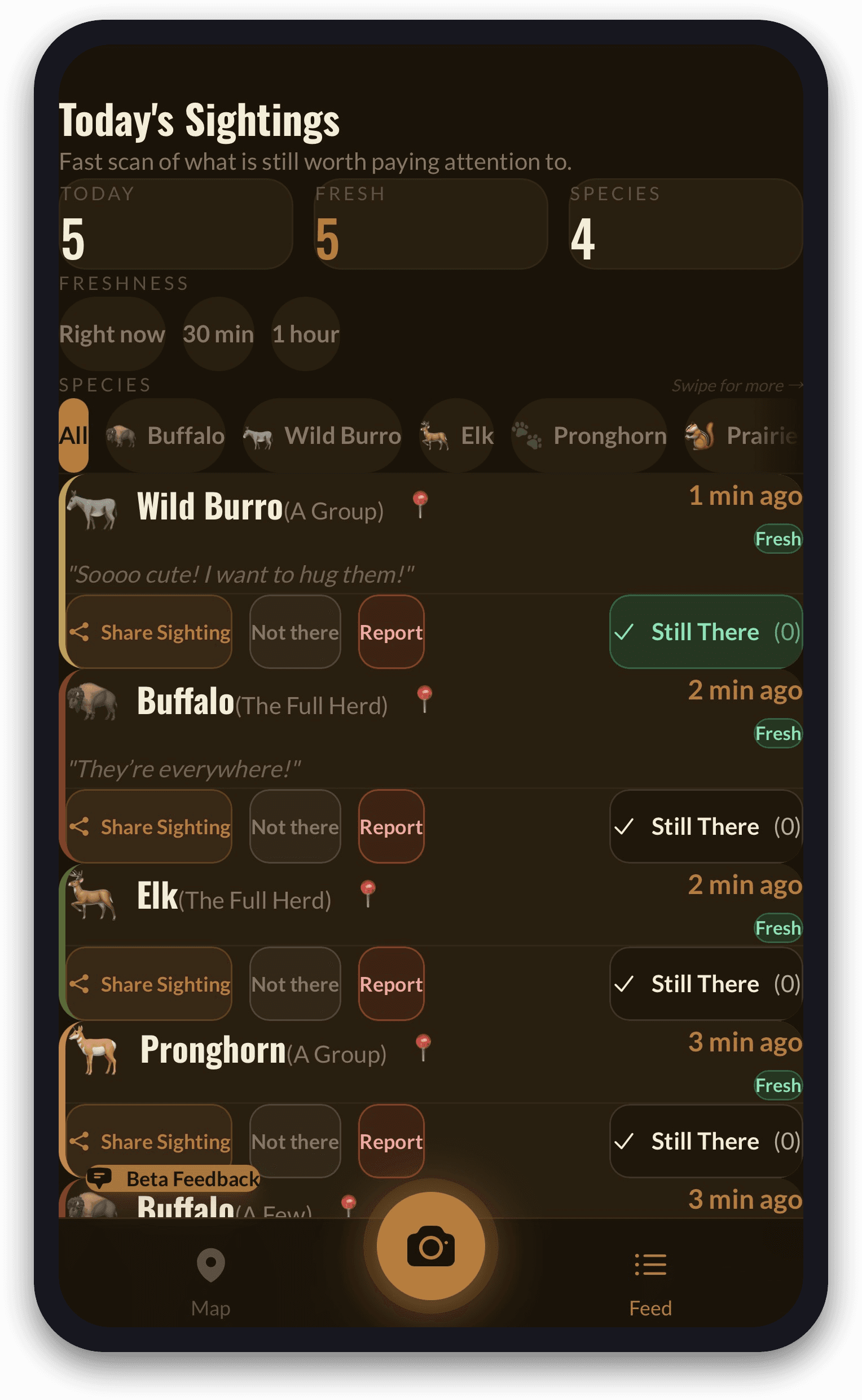 Scrollable feed of everything spotted today, freshest first.